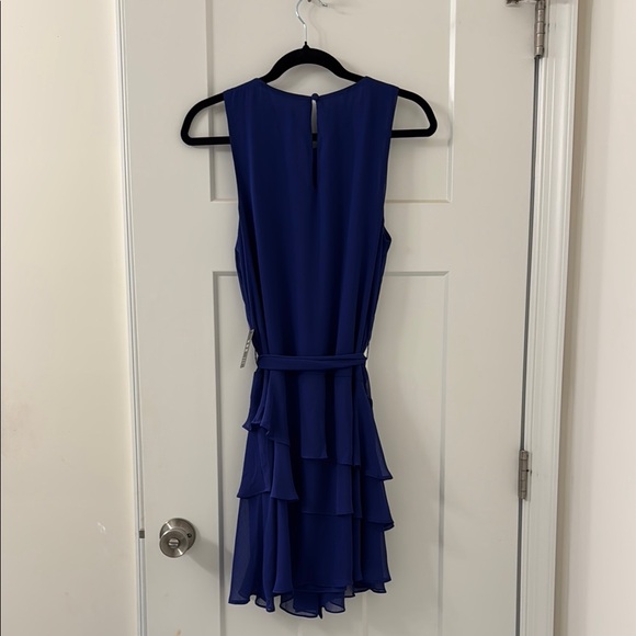 Express Blue Ruched Dress - Picture 3 of 6